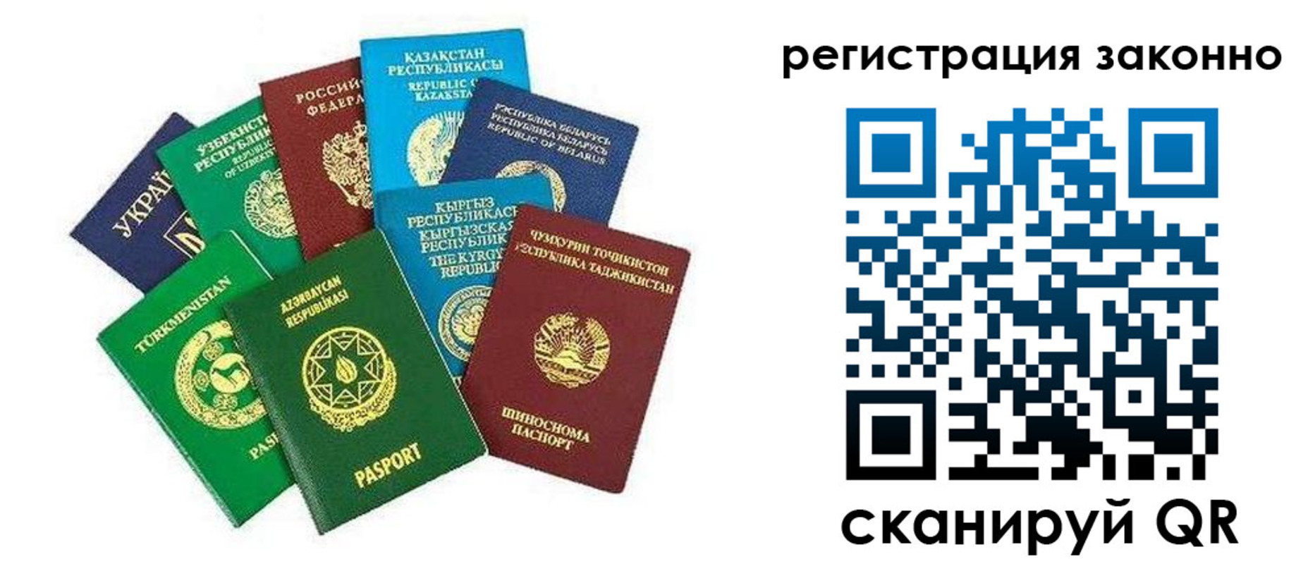 прописка 2025 в Щёкино
